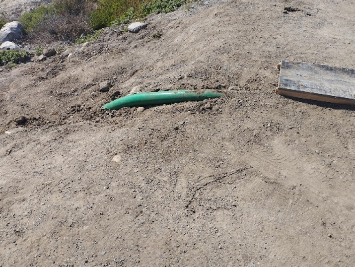  Fotos: Cota, E. (2024) El camino de la descarga de industria procesadora de pescado